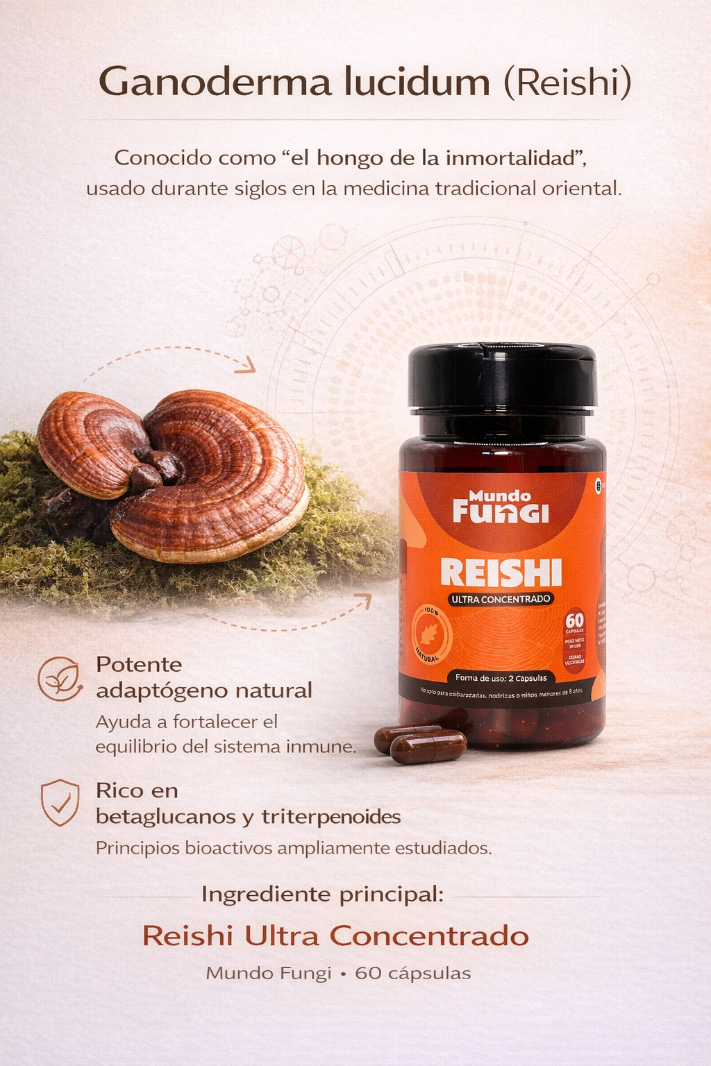 Cápsulas de Reishi – Ultra Concentrado (60 caps)