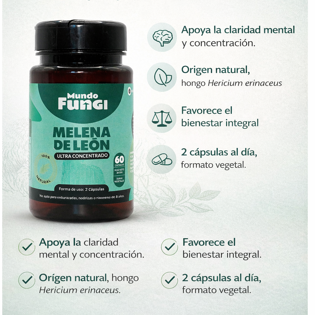 Cápsulas de Melena de León – Ultra Concentrado (60 caps)