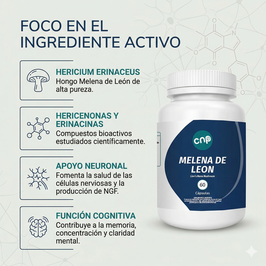 Melena de León 500 mg - Memoria y concentración | 60 cápsulas