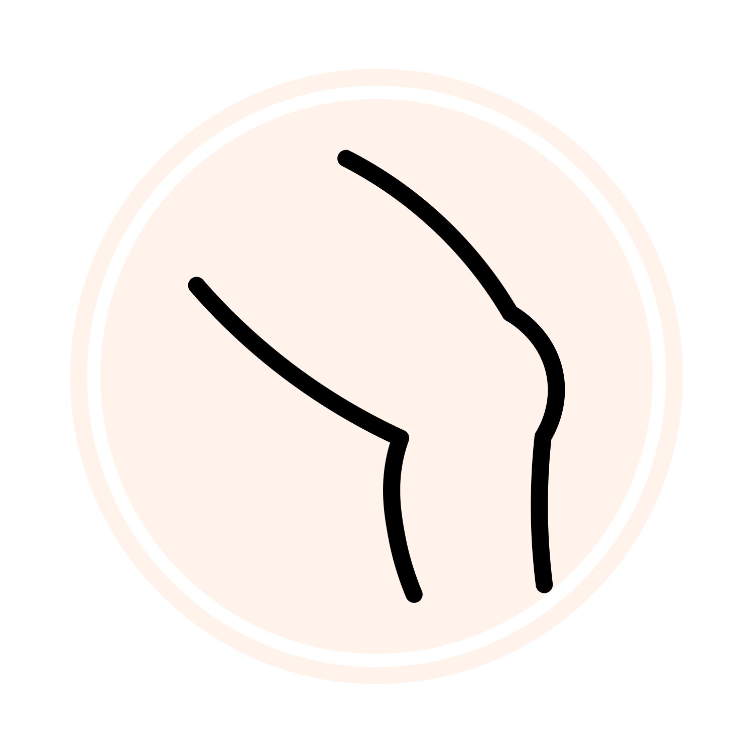 Huesos, Articulaciones y Musculatura