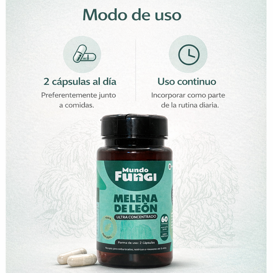 Cápsulas de Melena de León – Ultra Concentrado (60 caps)