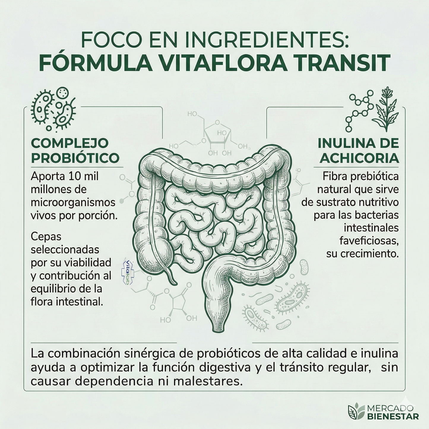 Vitaflora Transit – Probióticos e inulina para tránsito intestinal | 30 cápsulas