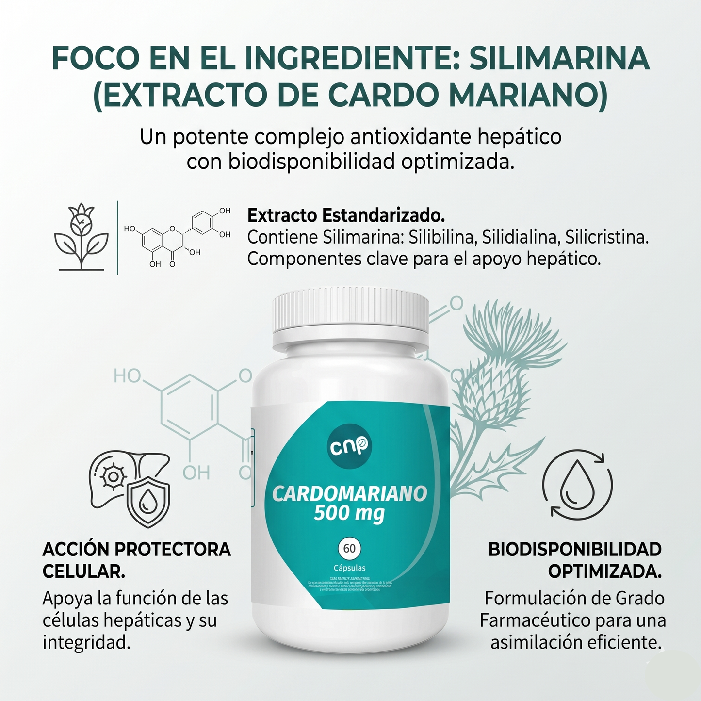 Cardomariano – Cuidado hepático natural | 60 cápsulas