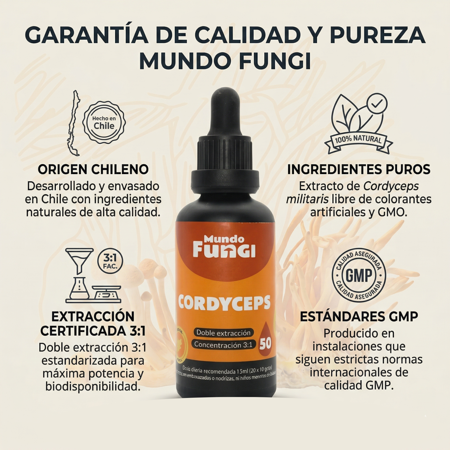 Extracto de Cordyceps en gotas – Doble Extracción 3:1 (50 ml)