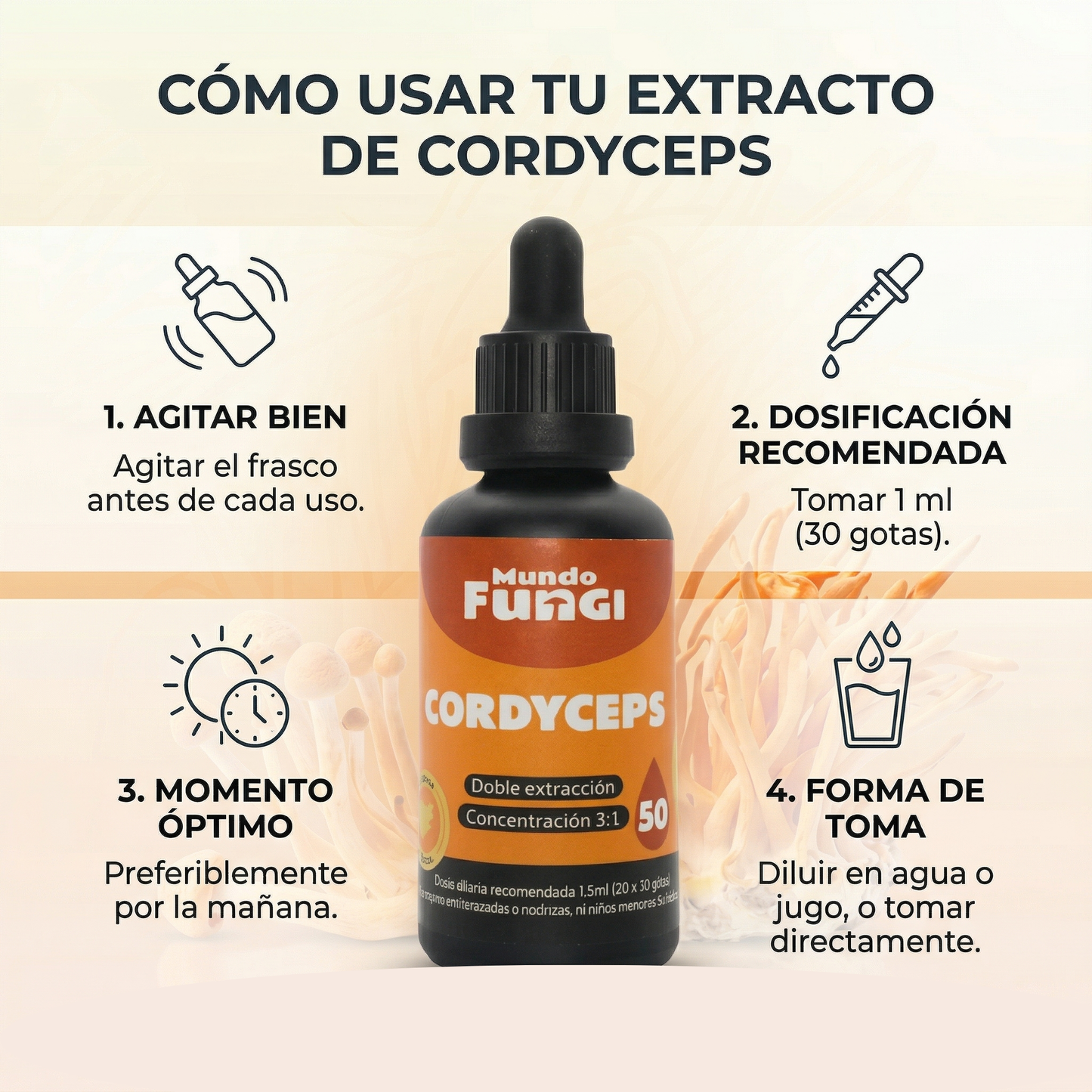Extracto de Cordyceps en gotas – Doble Extracción 3:1 (50 ml)