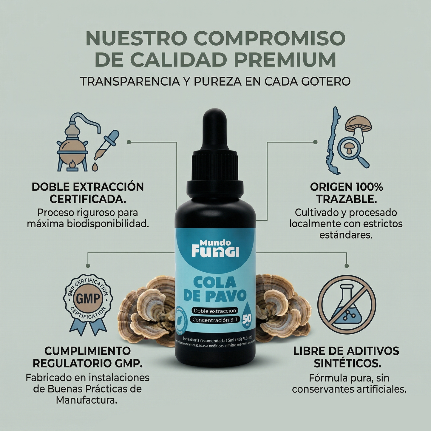 Extracto de Cola de Pavo en gotas – Doble Extracción 3:1 (50 ml)